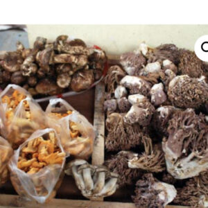 Bhutanese mushroom Online